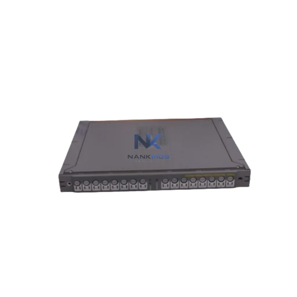 ICS Triplex T8231C Power Supply Module product reference image